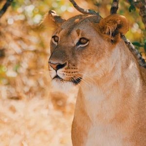 Meet your Posher, Keagan